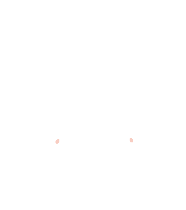 Lesser palatine foramen