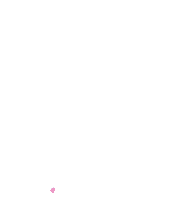 Pterygoid canal