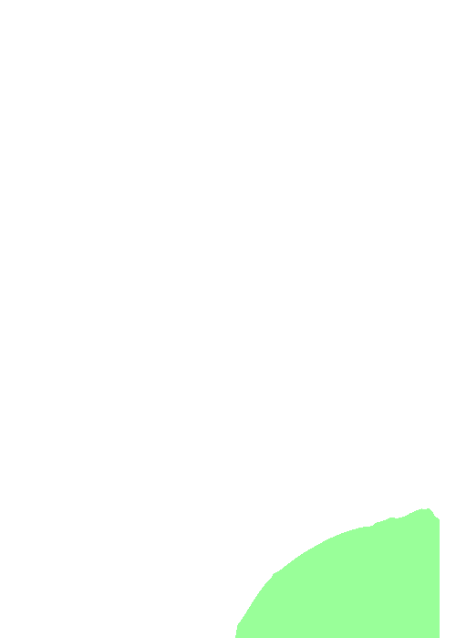 Occipital bone