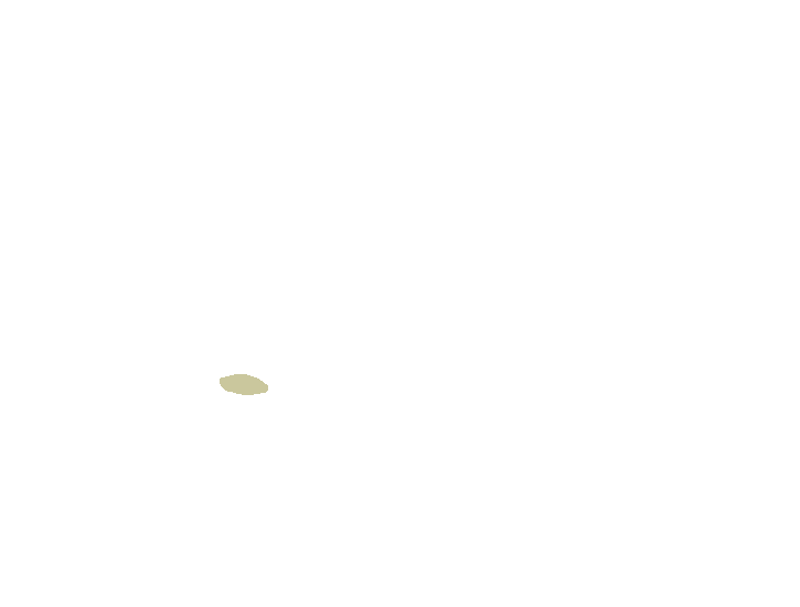 Articular tubercle