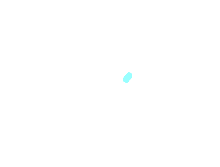 Foramen spinosum