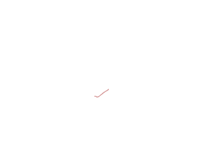 Petrotympanic fissure