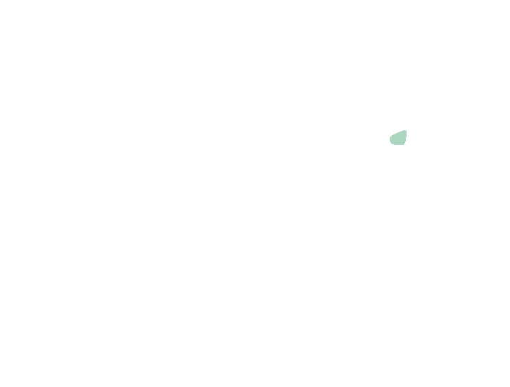 Pterygoid canal