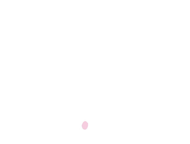 Stylomastoid foramen