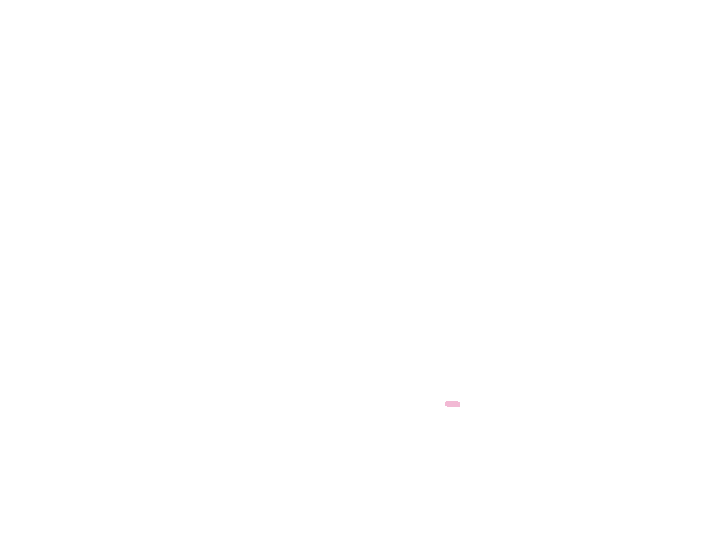 Tympanic canaliculus