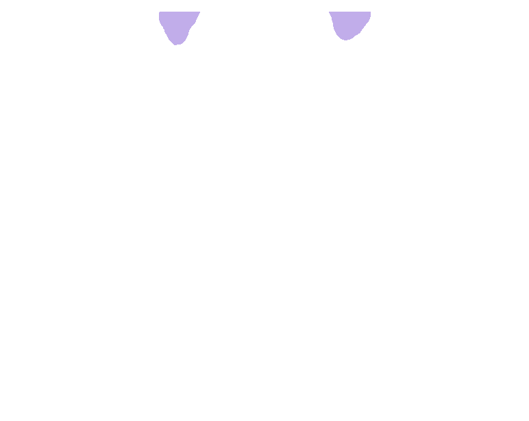 Occipital condyle