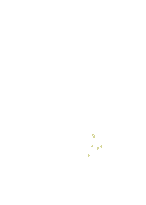 Alveolar canals