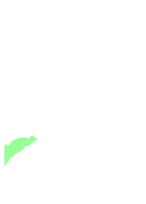 Occipital bone