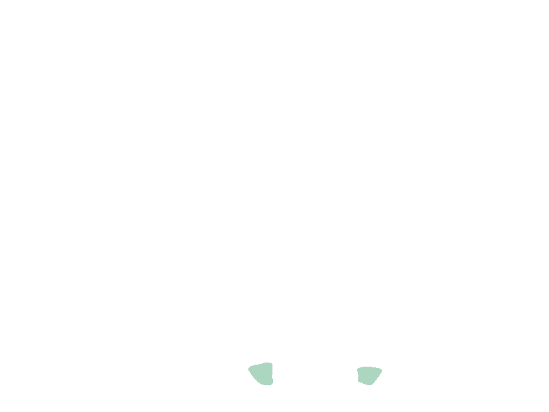 Anterior clinoid process