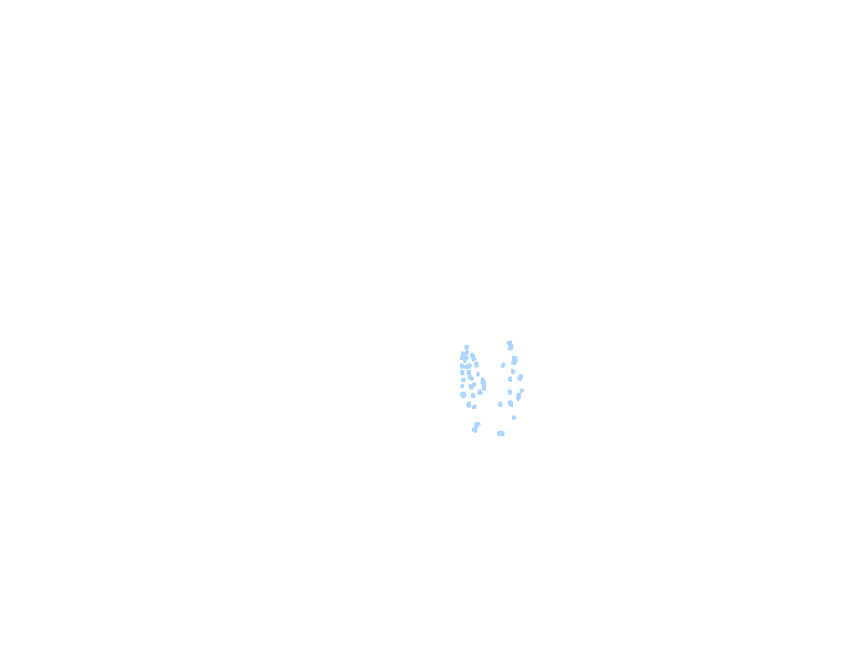 cribriform foramina