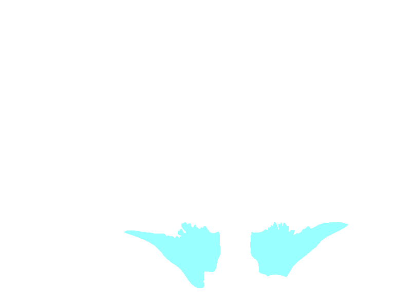 Lesser wing of sphenoid bone