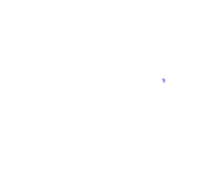 Ethmoid bone