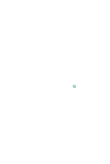 Foramen spinosum