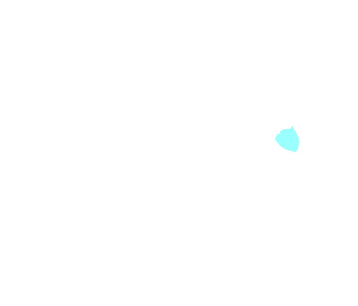 Lacrimal bone