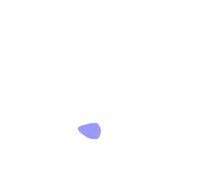 Mastoid process