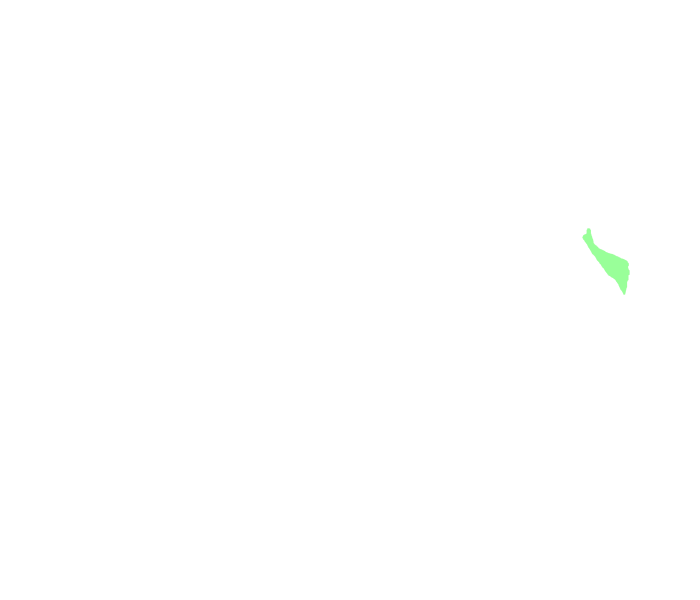 Nasal bone