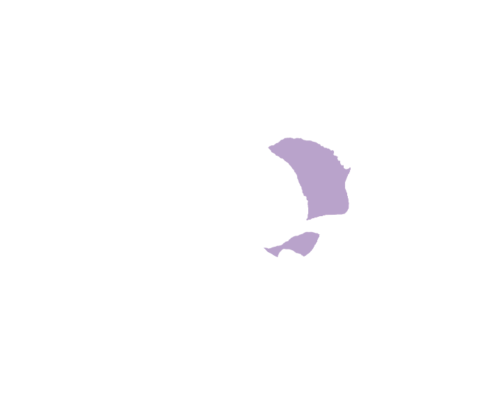 Sphenoid bone