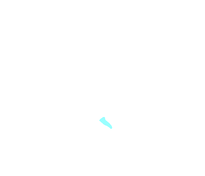 Styloid process