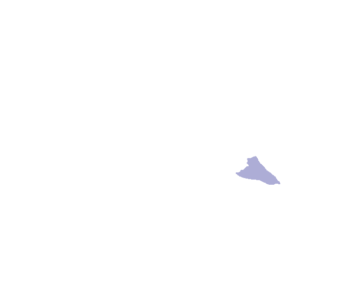 Temporal process of zygomatic bone