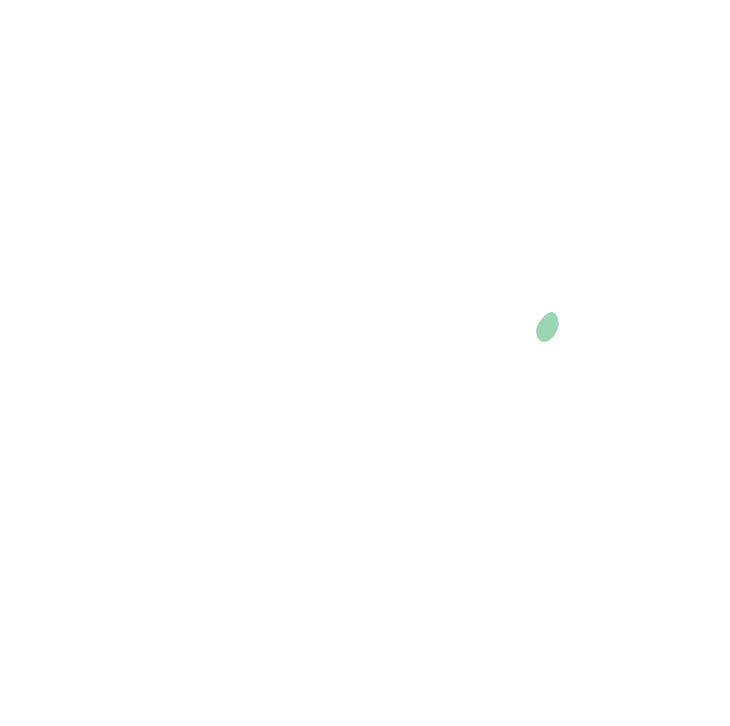 Levator anguli oris