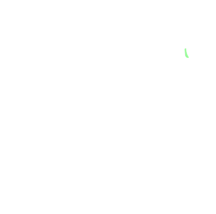 Procerus