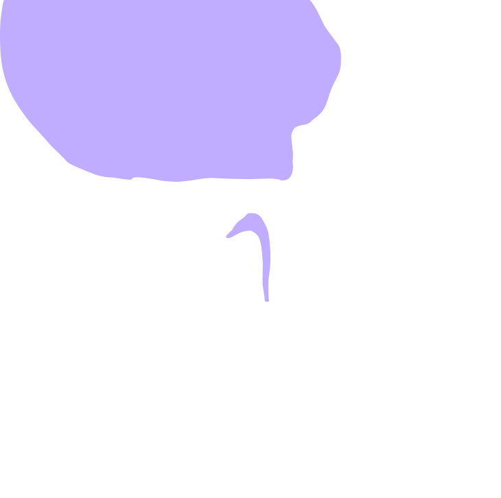 Temporalis