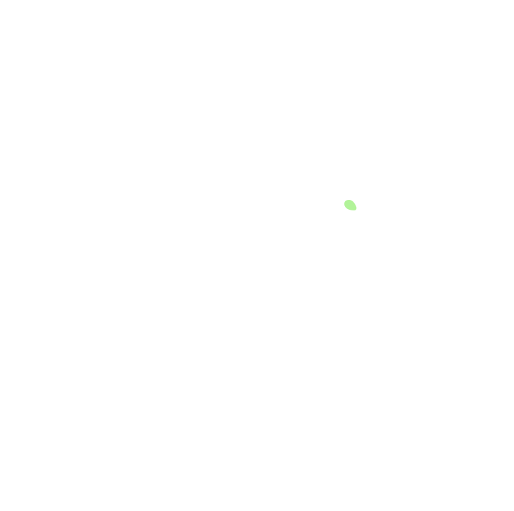 Zygomaticus minor