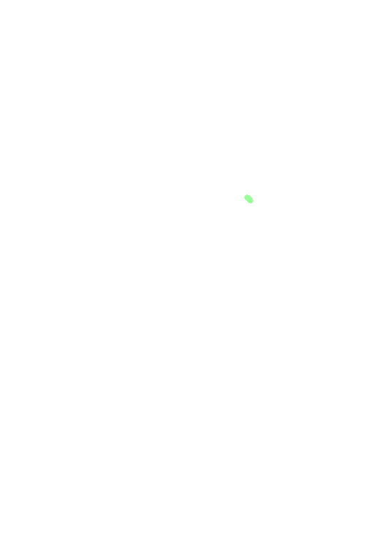 Orbital anterior ethmoid foramen