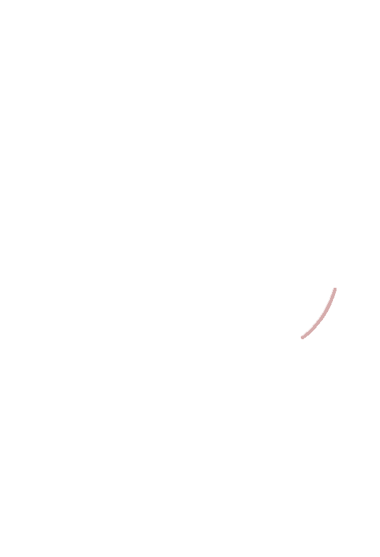 Orbital anterior lacrimal crest