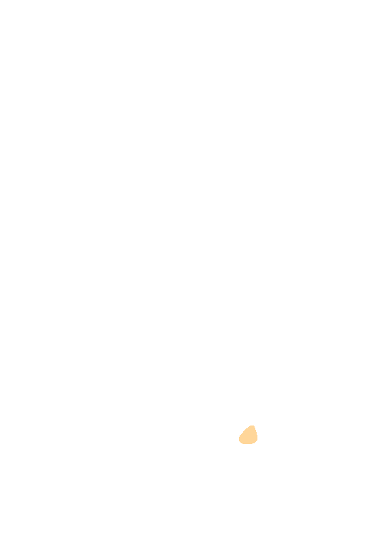 Orbital infraorbital foramen