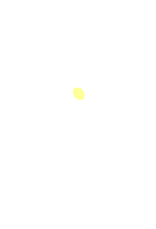 Orbital optic canal