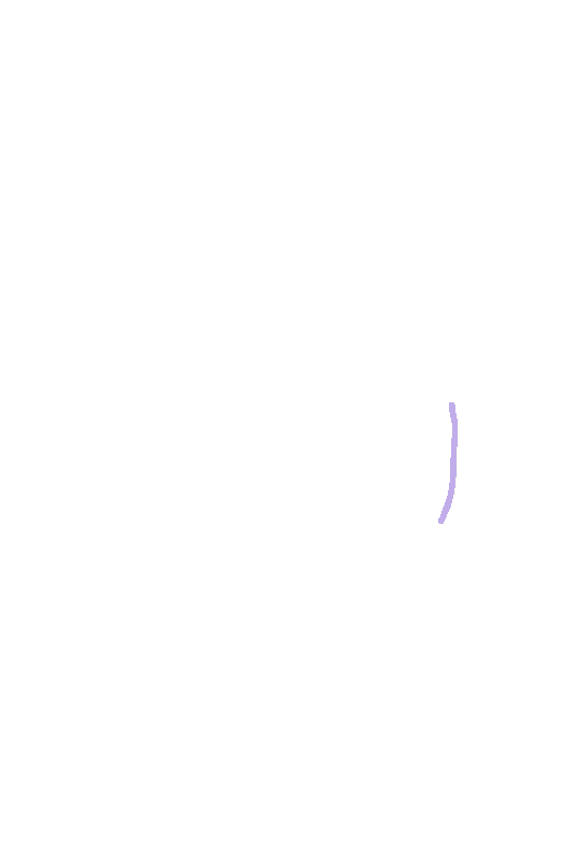 Orbital posterior lacrimal crest