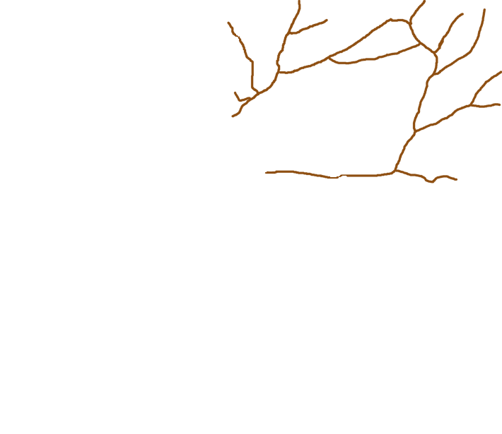 Grooves for middle meningeal artery