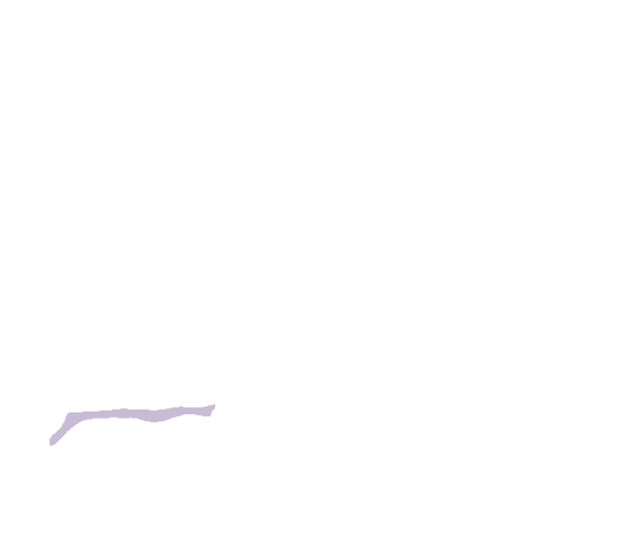 Hard palate