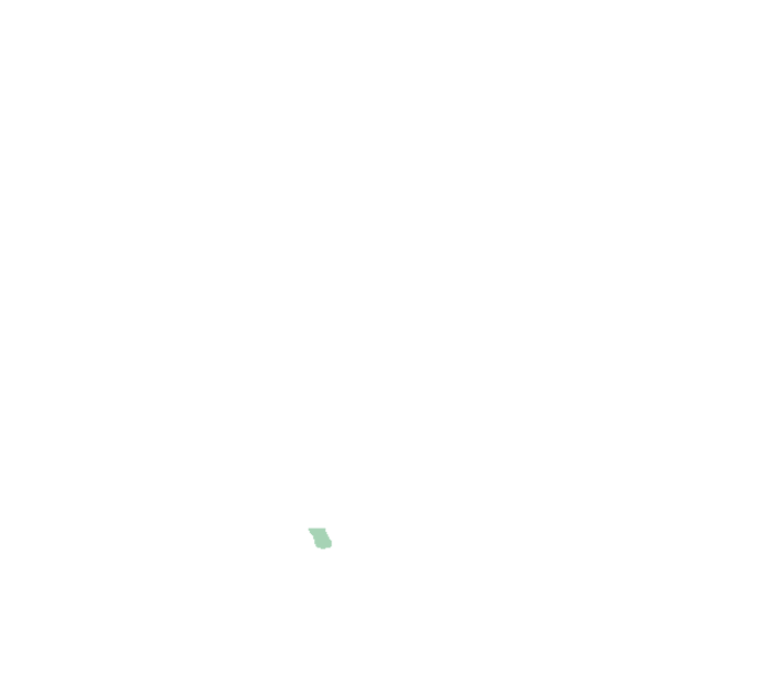 Pterygoid hamulus