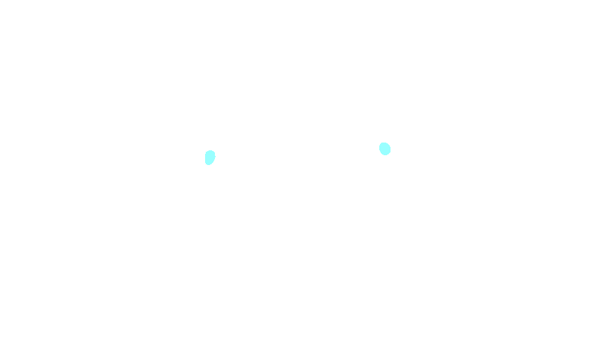 Foramina Rotunda
