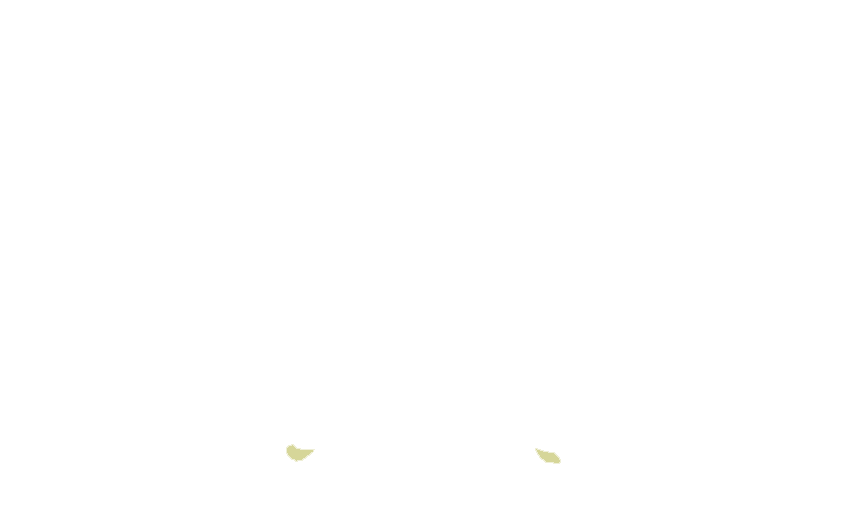 Hamuli