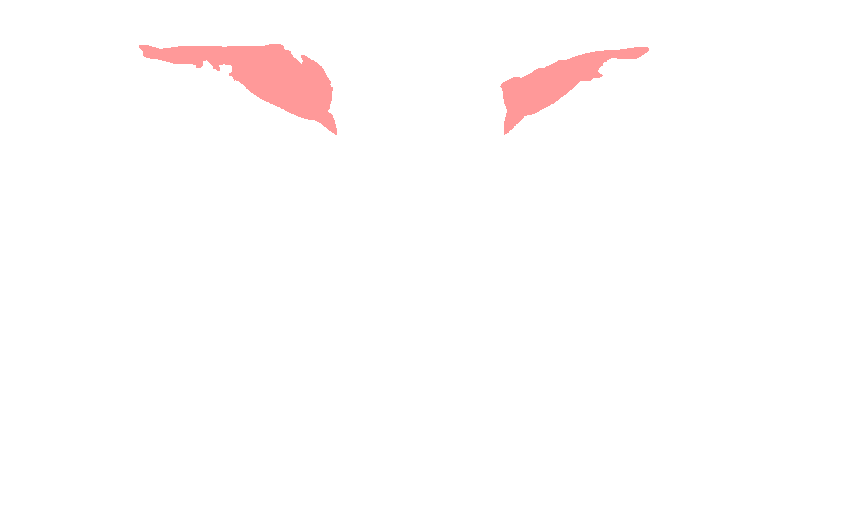 Lesser Wings