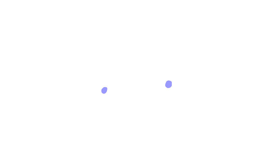Foramina Rotunda