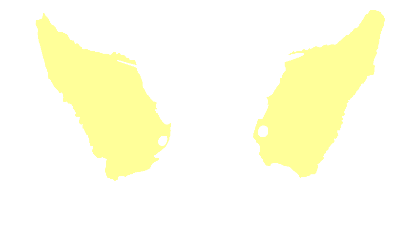 Greater Wings