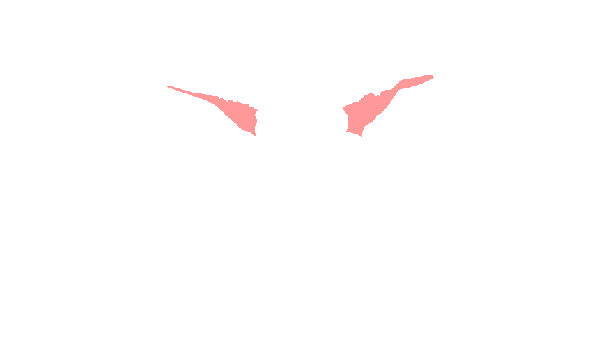 Lesser Wings