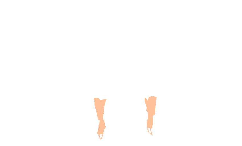 Medial Pterygoid Plates