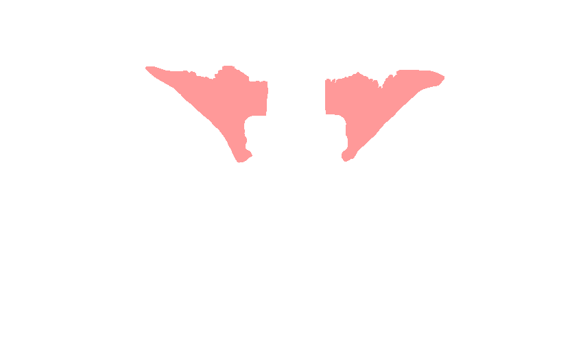 Lesser Wings