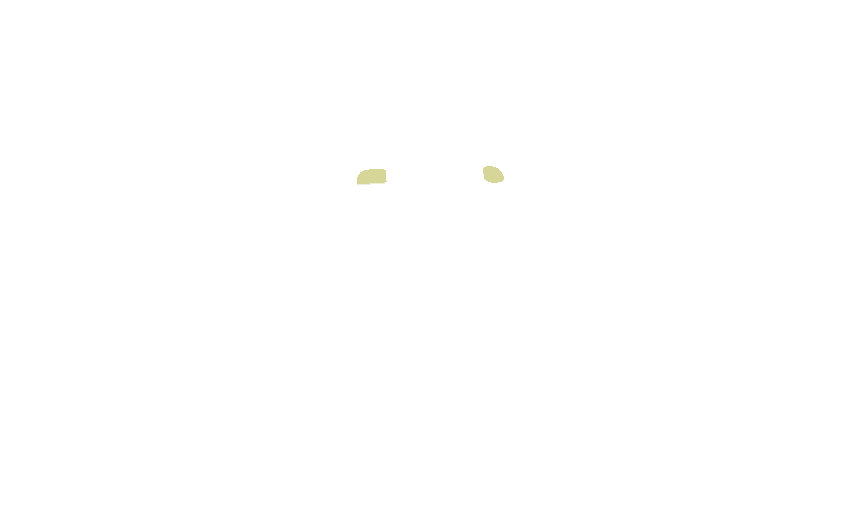 Optic Canals
