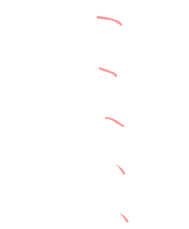 Spine cervical uncovertebral joints
