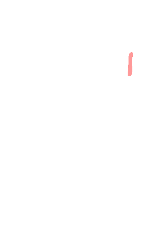 Levator scapulae