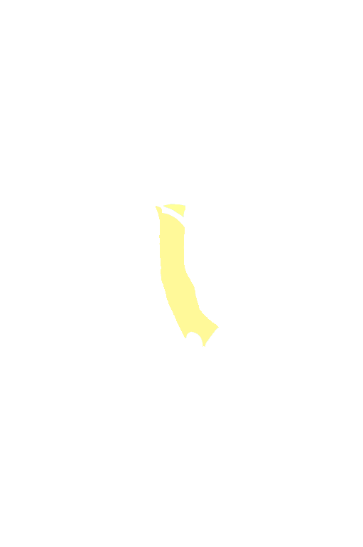Basilar