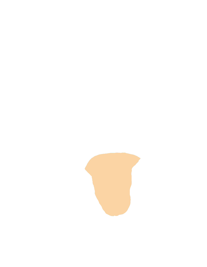 Medulla