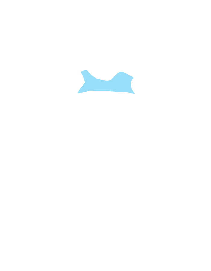Midbrain
