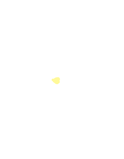Infundibulum